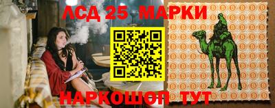 mdpv Новокубанск